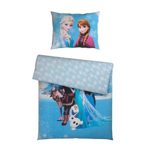 Disney LICENČNÍ POVLEČENÍ, renforcé, vícebarevná, 140/200 cm obraz