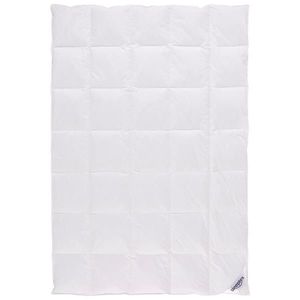 Sleeptex CELOROČNÍ PŘIKRÝVKA, 155/220 cm, peří, prachové peří obraz