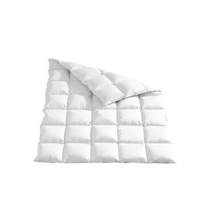 Sleeptex CELOROČNÍ PŘIKRÝVKA, 220/240 cm, peří, prachové peří obraz