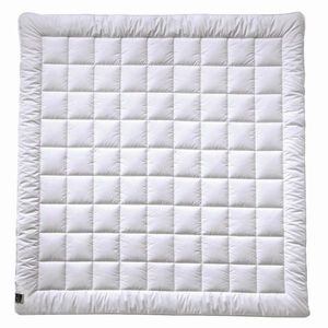 Billerbeck ZIMNÍ PŘIKRÝVKA, 200/200 cm, polyester obraz