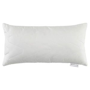 Centa-Star POLŠTÁŘ POD HLAVU, 40/80 cm obraz