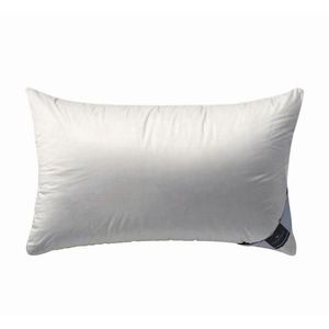 Billerbeck POLŠTÁŘ POD HLAVU, 40/80 cm obraz