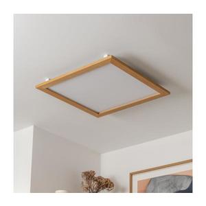 Brilagi Brilagi - LED Stropní svítidlo SLIMFRAME WOOD LED/58W/230V 64x64 cm hnědá obraz
