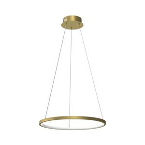 LED Lustr na lanku HOOP LED/27W/230V pr. 50 cm 4000K zlatá obraz