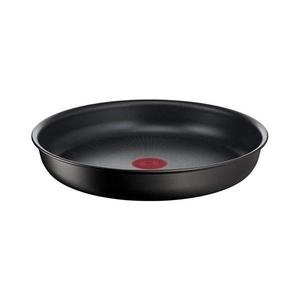 Tefal Tefal - Pánev INGENIO Unlimited 22 cm obraz