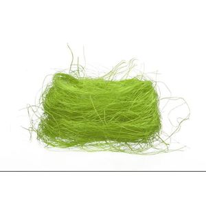 Arpex Jarní dekorační sisal 10x19cm zelený obraz