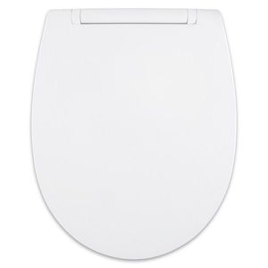 Duroplastové sedátko se zpomalovacím mechanismem AWD Interior Bolero 1443 AWD02181443 obraz