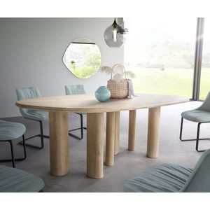 Jídelní stůl Widoa 200x120 cm mango bílá světlé obraz