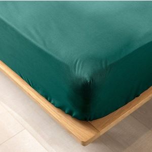 Zelené napínací prostěradlo z Bio bavlny 160x200 cm Biolina – douceur d'intérieur obraz