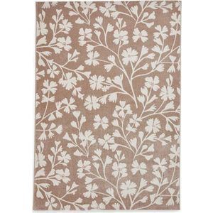 Světle hnědý koberec 80x150 cm Grace Floral – Catherine Lansfield obraz