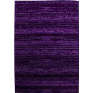 Tmavě fialový koberec 140x200 cm Plus – Ayyildiz Carpets obraz