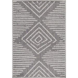 Šedý venkovní běhoun 80x250 cm Aruba – Ayyildiz Carpets obraz