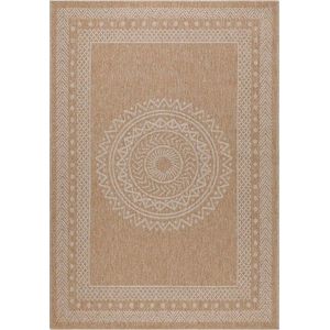 Venkovní koberec v přírodní barvě 160x230 cm Dhaka – Ayyildiz Carpets obraz