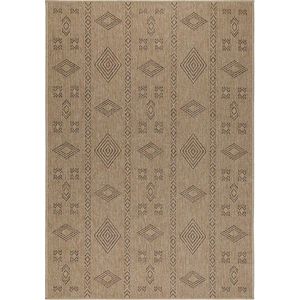 Venkovní koberec v přírodní barvě 160x230 cm Dhaka – Ayyildiz Carpets obraz