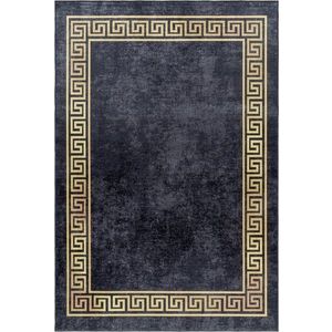 Antracitový pratelný koberec 160x230 cm Fiesta – Ayyildiz Carpets obraz
