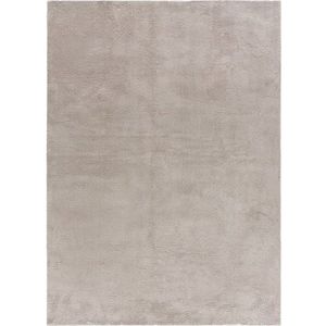 Světle šedý koberec 200x290 cm Loft – Universal obraz