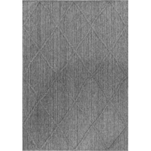 Šedý venkovní koberec 80x150 cm Patara – Ayyildiz Carpets obraz