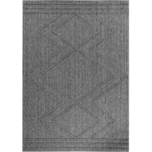Šedý venkovní koberec 140x200 cm Patara – Ayyildiz Carpets obraz