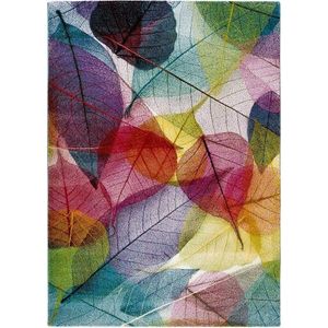 Koberec Universal Colors Multi, 140 x 200 cm obraz