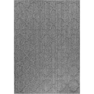 Šedý venkovní koberec 120x170 cm Patara – Ayyildiz Carpets obraz