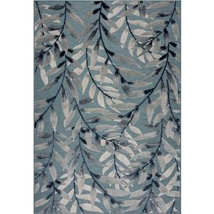 Modrý venkovní koberec 290x200 cm Willow - Flair Rugs obraz