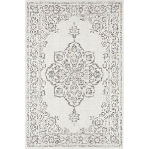 Šedo-krémový venkovní koberec NORTHRUGS Tilos, 200 x 290 cm obraz