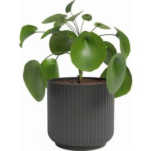 Keramický květináč ø 19 cm Luna – Artevasi obraz