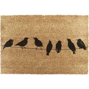 Rohožka z kokosového vlákna 40x60 cm Birds On a Wire – Artsy Doormats obraz