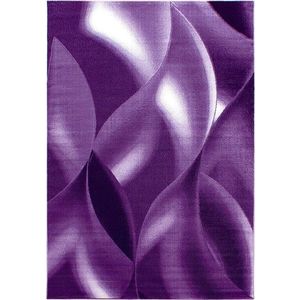 Fialový koberec 160x230 cm Plus – Ayyildiz Carpets obraz