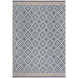 Žluto-modrý vnitřní a venkovní koberec 120x170 cm Zia Trellis – Flair Rugs obraz