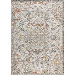 Krémový vnitřní a venkovní koberec 160x230 cm Samara – Universal obraz