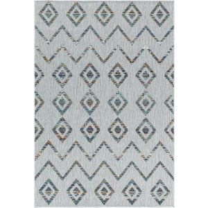 Světle šedý venkovní běhoun 80x250 cm Bahama – Ayyildiz Carpets obraz