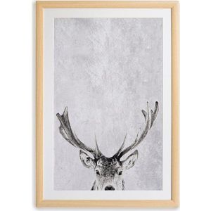 Obraz 30x40 cm Deer – Surdic obraz