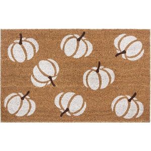 Rohožka 45x75 cm Mix Mats – Hanse Home obraz