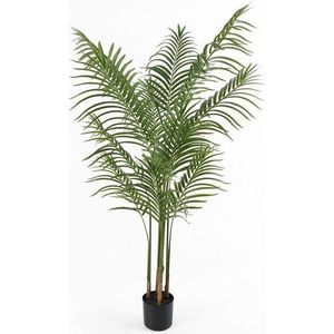 Umělá palma (výška 140 cm) Kwai – PT LIVING obraz