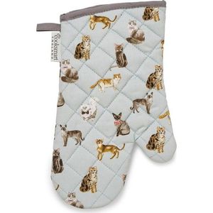 Modrá bavlněná kuchyňská rukavice Cooksmart ® Curious Cats obraz