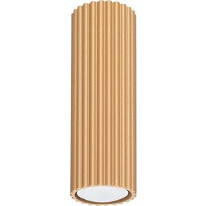 Stropní svítidlo ve zlaté barvě Gleam – Nice Lamps obraz