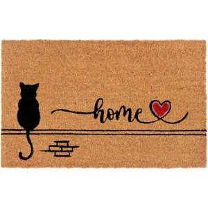Home obraz