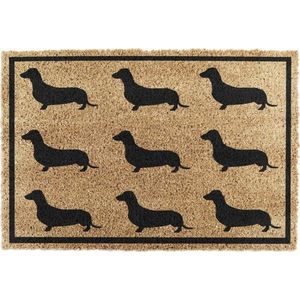 Rohožka z kokosového vlákna 40x60 cm Dachshund – Artsy Doormats obraz