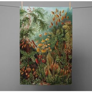 Utěrka 43x64 cm Deep Forest – Madre Selva obraz