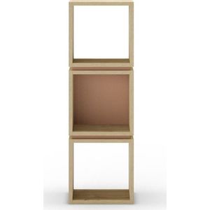 Knihovna v dekoru dubu v cihlovo-přírodní barvě 32x99, 5 cm Lofty – Marckeric obraz