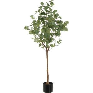 Umělá květina Eucalyptus – Casa Selección obraz