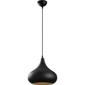 Černé závěsné svítidlo Opviq lights Sağlam obraz