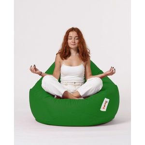 Zelený sedací vak Premium – Floriane Garden obraz