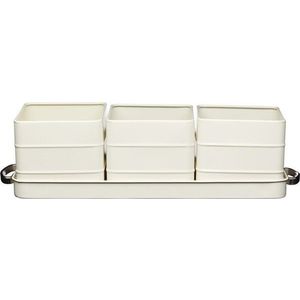 Sada 3 krémových květináčů na bylinky Kitchen Craft Living Nostalgia obraz
