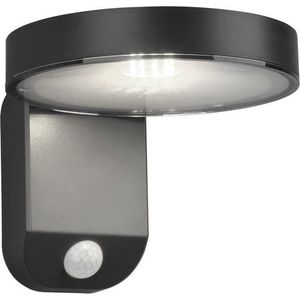 LED venkovní svítidlo se senzorem pohybu (výška 12 cm) Posadas – Trio obraz