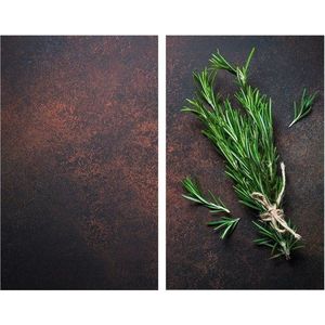 Kryty na sporák z tvrzeného skla v sadě 2 ks 52x30 cm Rosemary – Allstar obraz