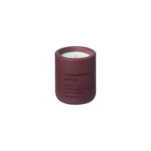 Vonná sojová svíčka doba hoření 24 h Fraga: Cinnamon & Apple – Blomus obraz