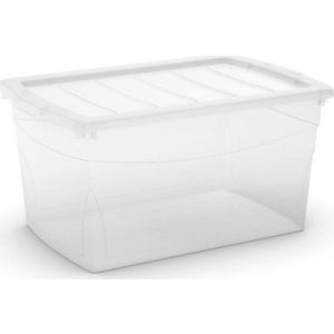 Plastový úložný box s víkem 58, 5x39x30 cm Omnibox L – KIS obraz