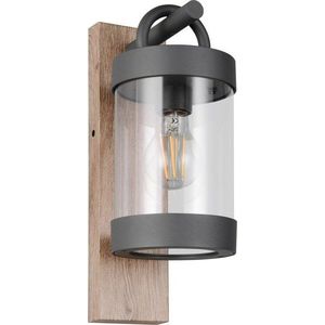 Nástěnné venkovní svítidlo (výška 33 cm) Sambesi – Trio obraz